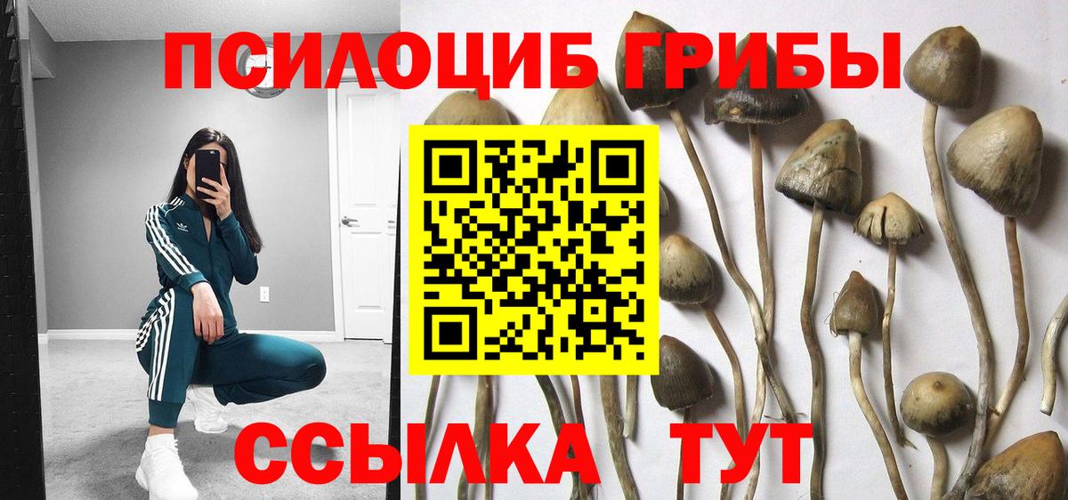 Галлюциногенные грибы Magic Shrooms  Вход с VPN  Владивосток 