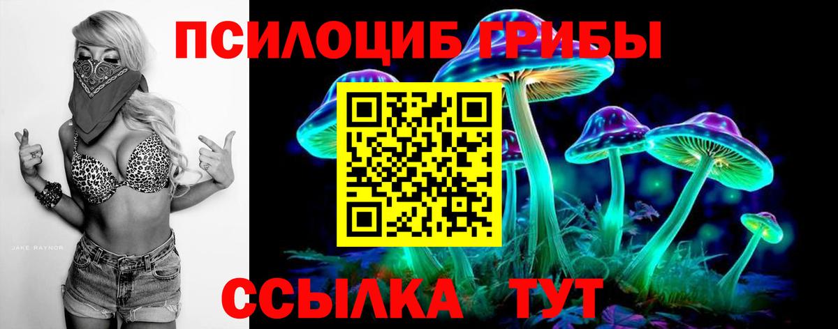 Псилоцибиновые грибы мухоморы Владивосток